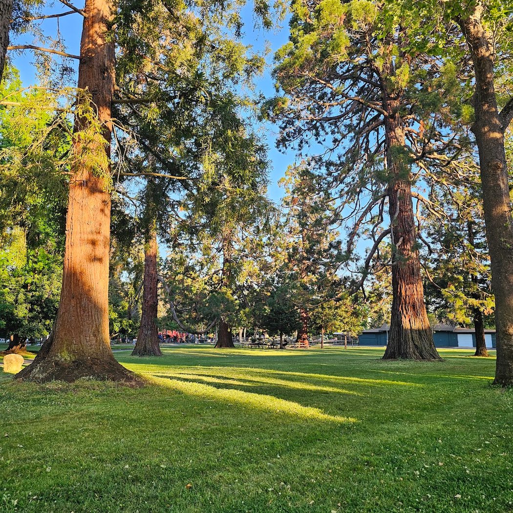 Fuller Park 4